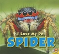 Cover: Spider - Av2 by Weigl