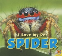 Enlarge image Cover: Spider - Av2 by Weigl