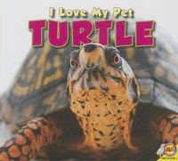 Enlarge image Cover: Turtle - Av2 by Weigl