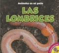 Cover: Las Lombrices - Av2 by Weigl