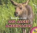 Cover: Los Alces Americanos - Av2 by Weigl
