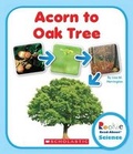 Cover: Acorn to Oak Tree - C. Press/F. Watts Trade