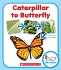 Cover: Caterpillar to Butterfly - C. Press/F. Watts Trade