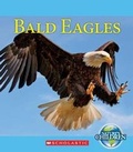 Cover: Bald Eagles - Scholastic