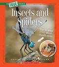 Cover: Insects and Spiders - Scholastic