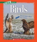 Cover: Birds - Scholastic