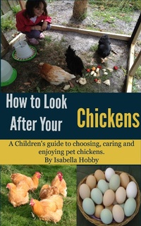 Abbildung von: How to look after your Chickens - Speedy Title Management LLC