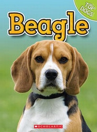 Enlarge image Cover: Beagle - Scholastic