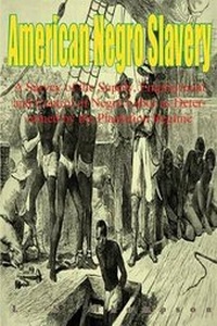 Abbildung von: American Negro Slavery - Lushena Books