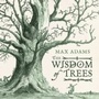 Cover: The Wisdom of Trees - Head of Zeus