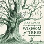 Cover: The Wisdom of Trees - Head of Zeus