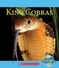 Cover: King Cobras - Scholastic