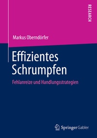 Abbildung von: Effizientes Schrumpfen - Springer Gabler