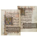 Cover: Liturgical Life and Latin Learning at Paradies bei Soest, 1300-1425 - Aschendorff