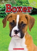 Cover: Boxer - Scholastic