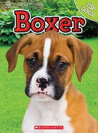Enlarge image Cover: Boxer - Scholastic