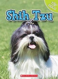 Cover: Shih Tzu - Scholastic