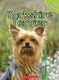 Cover: Yorkshire Terrier - Scholastic