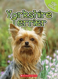 Enlarge image Cover: Yorkshire Terrier - Scholastic
