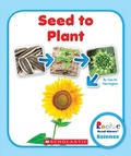 Cover: Seed to Plant (Rookie Read-About Science: Life Cycles) - C. Press/F. Watts Trade