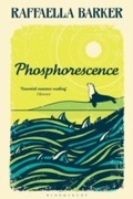 Cover: Phosphorescence - Bloomsbury Paperbacks
