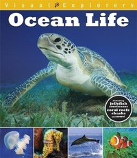 Enlarge image Cover: Visual Explorers: Ocean Life - Franklin Watts Ltd