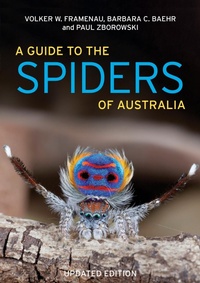 Enlarge image Cover: A Guide to Spiders of Australia - Reed New Holland