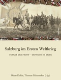 Cover: Salzburg im Ersten Weltkrieg - B&ouml;hlau