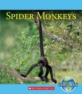 Cover: Spider Monkeys - Children's Press(CT)