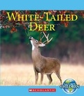 Cover: White-Tailed Deer - Children's Press(CT)