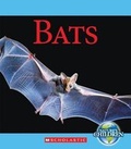 Cover: Bats - Scholastic