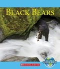 Cover: Black Bears - Scholastic