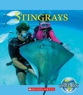 Cover: Stingrays - Scholastic