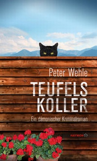 Abbildung von: Teufelskoller - Haymon Verlag