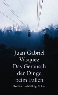 Abbildung von: Das Geräusch der Dinge beim Fallen - Schöffling
