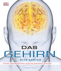 Enlarge image Cover: Das Gehirn - DK Verlag Dorling Kindersley