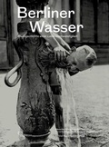 Cover: Berliner Wasser - Vergangenheitsverlag