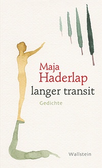 Enlarge image Cover: langer transit - Wallstein