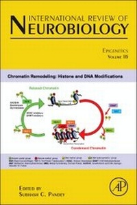 Abbildung von: Epigenetics: Volume 115 - Academic Press