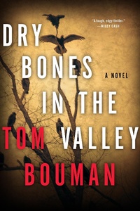 Abbildung von: Dry Bones in the Valley - W. W. Norton & Company
