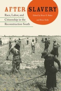 Abbildung von: After Slavery - University Press of Florida
