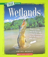 Enlarge image Cover: Wetlands - Scholastic