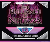 Enlarge image Cover: The Brilliance of Netezza - Coffing Publishing