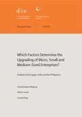 Cover: Which factors determine the upgrading of micro, small and medium-sized enterprises? - German Institute of Development and Sustainability (IDOS) gGmbH