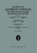 Cover: Ergebnisse der Allgemeinen Pathologie und Pathologischen Anatomie des Menschen und der Tiere - J.F. Bergmann-Verlag