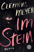 Cover: Im Stein - Fischer Taschenbuch