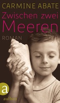 Cover: Zwischen zwei Meeren - Aufbau