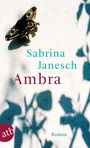Cover: Ambra - Aufbau Taschenbuch