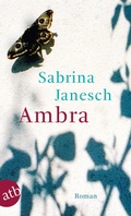 Cover: Ambra - Aufbau Taschenbuch