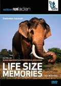 Cover: Life Size Memories - Falter Verlag